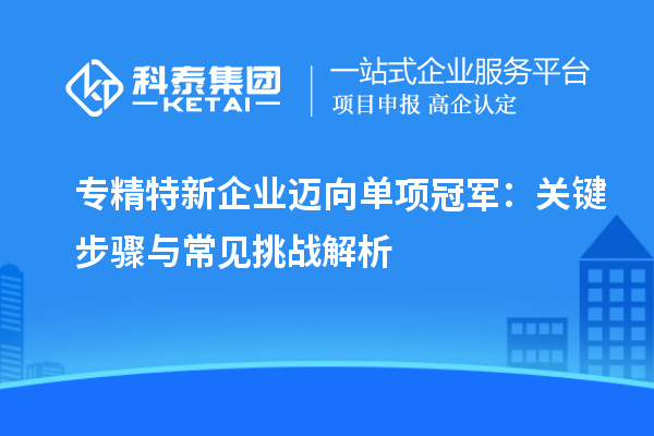 专精特新企业迈向单项冠军：关键步骤与常见挑战解析