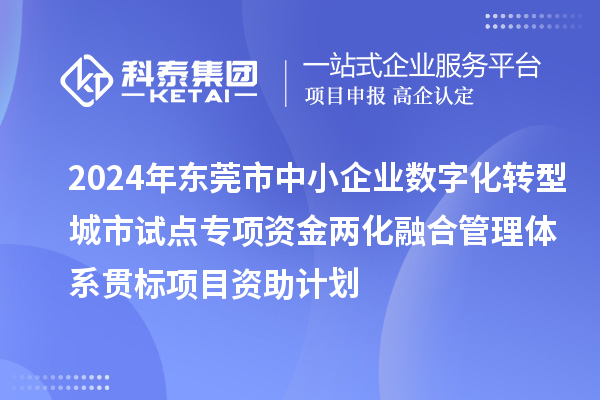 2024年东莞市中小企业数字化转型城市试点专项资金两化融合管理体系贯标项目资助计划