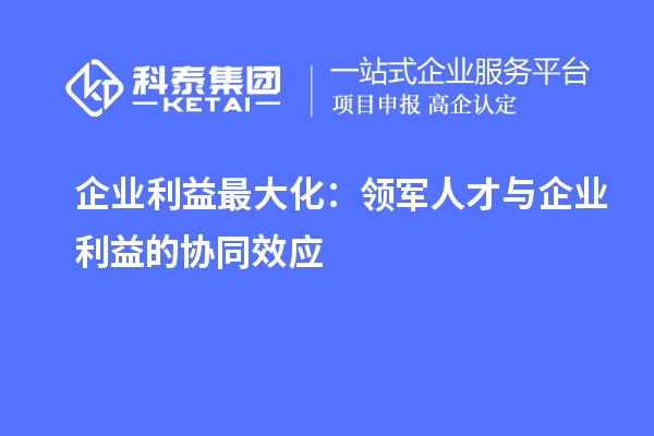 企业利益最大化：领军人才与企业利益的协同效应