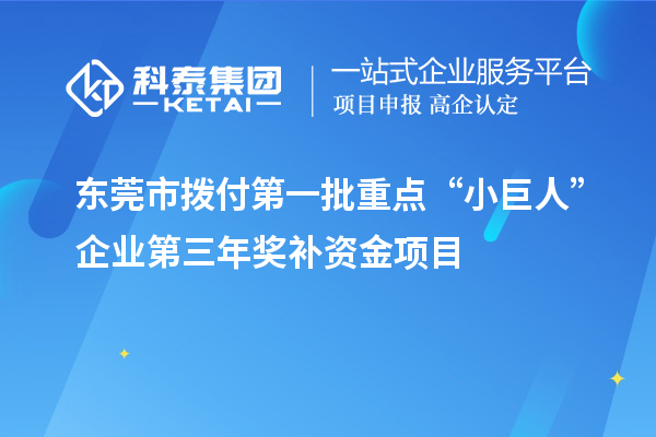 东莞市拨付第一批重点“小巨人”企业第三年奖补资金项目