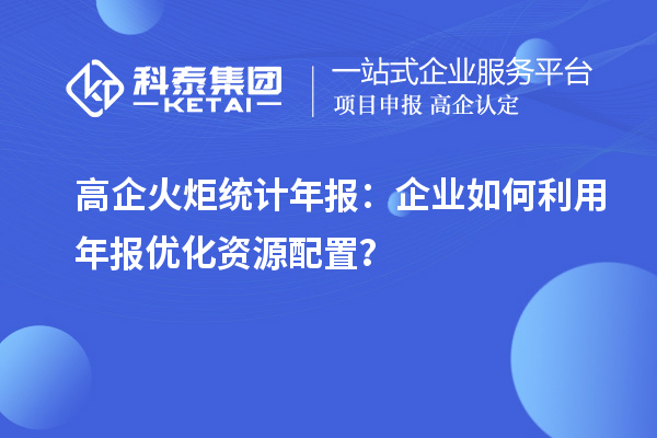 高企火炬统计年报：企业如何利用年报优化资源配置？