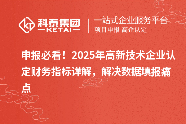 申报必看！2025年<a href=//m.auto-fm.com target=_blank class=infotextkey></a>财务指标详解，解决数据填报痛点