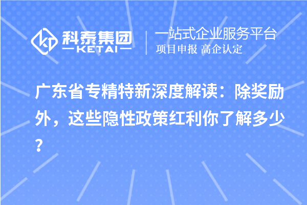 广东省专精特新深度解读：除奖励外，这些隐性政策红利你了解多少？