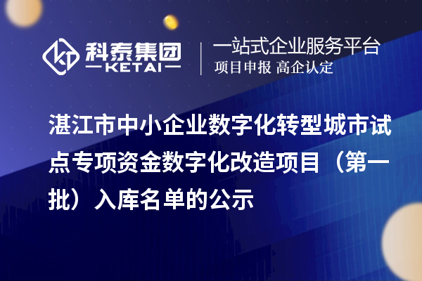 湛江市中小企业数字化转型城市试点专项资金数字化改造项目（第一批）入库名单的公示