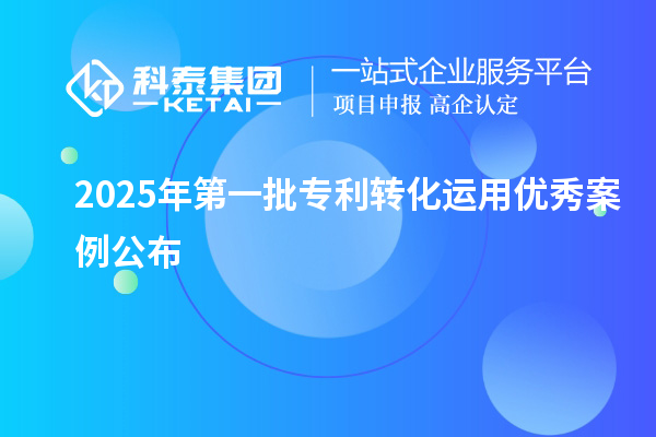 2025年第一批专利转化运用优秀案例公布