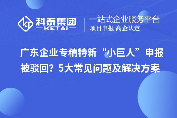 广东企业专精特新“小巨人”申报被驳回？5大常见问题及解决方案