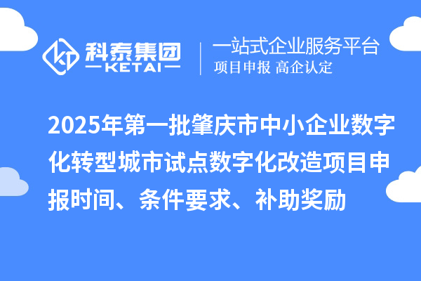2025年第一批肇庆市中小企业数字化转型城市试点数字化改造项目申报时间、条件要求、补助奖励