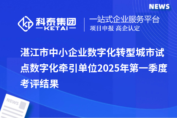 湛江市中小企业数字化转型城市试点数字化牵引单位2025年第一季度考评结果