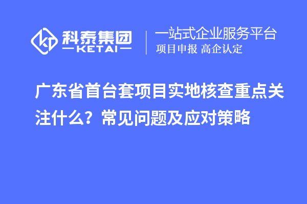 广东省首台套项目实地核查重点关注什么？常见问题及应对策略