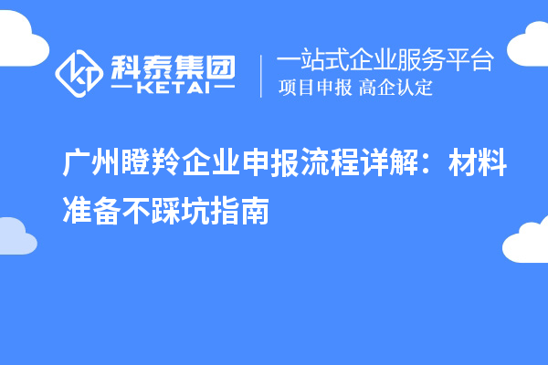 广州瞪羚企业申报流程详解：材料准备不踩坑指南