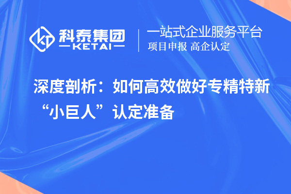 深度剖析：如何高效做好专精特新“小巨人”认定准备