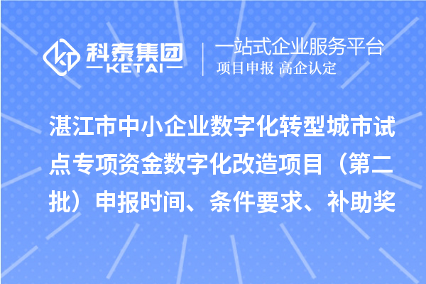 湛江市中小企业数字化转型城市试点专项资金数字化改造项目（第二批）申报时间、条件要求、补助奖励