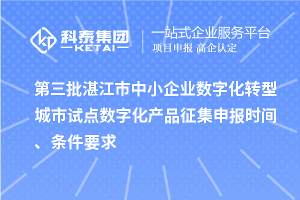 第三批湛江市中小企业数字化转型城市试点数字化产品征集申报时间、条件要求