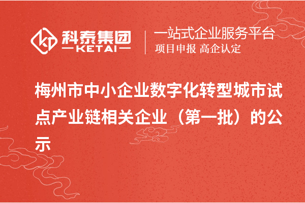 梅州市中小企业数字化转型城市试点产业链相关企业（第一批）的公示