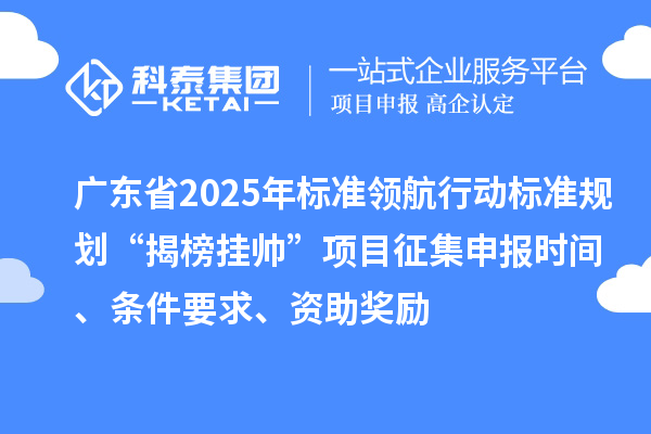 广东省2025年标准领航行动标准规划“揭榜挂帅”项目征集申报时间、条件要求、资助奖励