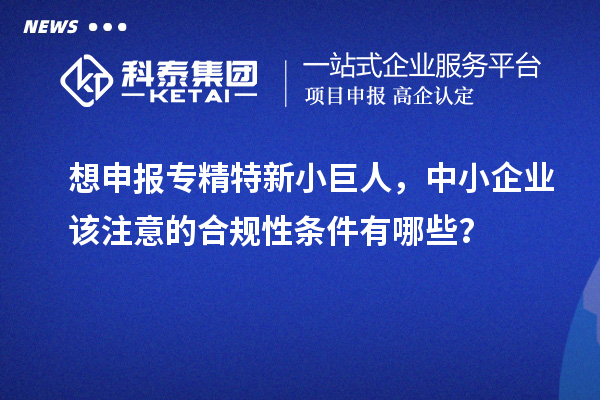 想申报专精特新小巨人，中小企业该注意的合规性条件有哪些？
