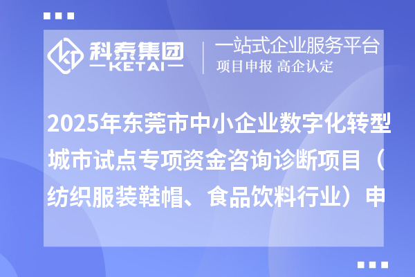 2025年东莞市中小企业数字化转型城市试点专项资金咨询诊断项目（纺织服装鞋帽、食品饮料行业）申报条件要求、资助奖励