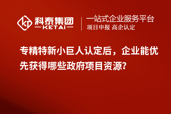 专精特新小巨人认定后，企业能优先获得哪些政府项目资源？