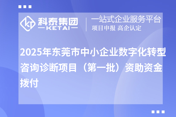 2025年东莞市中小企业数字化转型咨询诊断项目（第一批）资助资金拨付