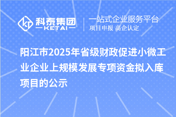 阳江市2025年省级财政促进小微工业企业上规模发展专项资金拟入库项目的公示