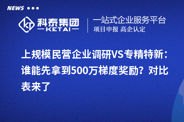 上规模民营企业调研VS专精特新：谁能先拿到500万梯度奖励？对比表来了
