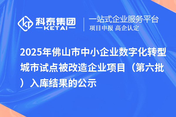 2025年佛山市中小企业数字化转型城市试点被改造企业项目（第六批）入库结果的公示