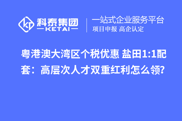 粤港澳大湾区个税优惠+盐田1:1配套：高层次人才双重红利怎么领？