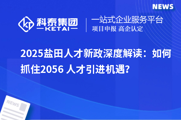 2025盐田人才新政深度解读：如何抓住2056+人才引进机遇？