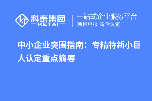 中小企业突围指南：专精特新小巨人认定重点摘要
