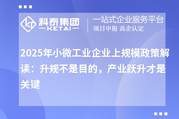2025年小微工业企业上规模政策解读：升规不是目的，产业跃升才是关键