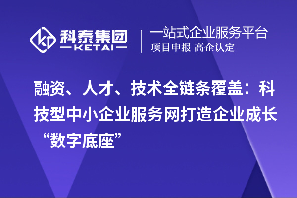 融资、人才、技术全链条覆盖：科技型中小企业服务网打造企业成长“数字底座”