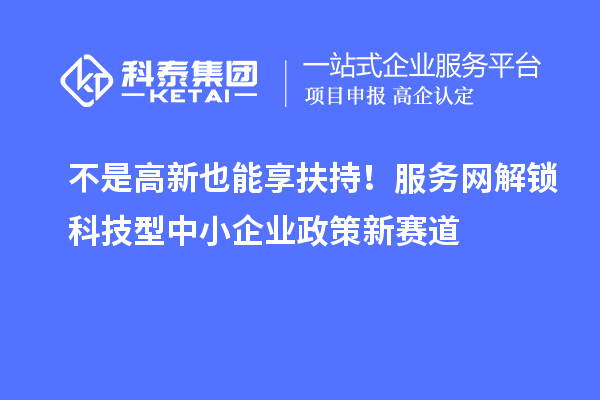 不是高新也能享扶持！服务网解锁科技型中小企业政策新赛道