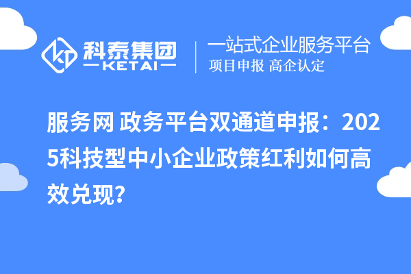 服务网+政务平台双通道申报：2025科技型中小企业政策红利如何高效兑现？