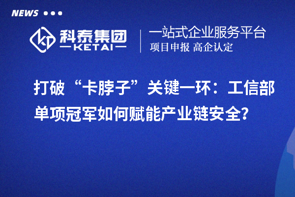 打破“卡脖子”关键一环：工信部单项冠军如何赋能产业链安全？