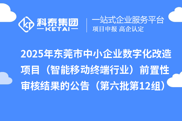 2025年东莞市中小企业数字化改造项目（智能移动终端行业）前置性审核结果的公告（第六批第12组）