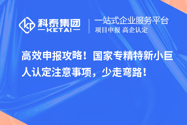 高效申报攻略！国家专精特新小巨人认定注意事项，少走弯路！