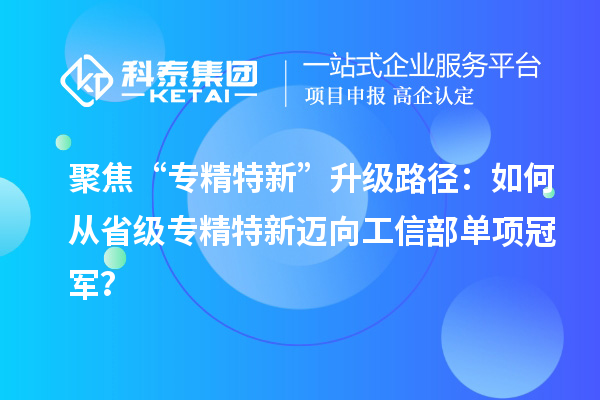 聚焦“专精特新”升级路径：如何从省级专精特新迈向工信部单项冠军？