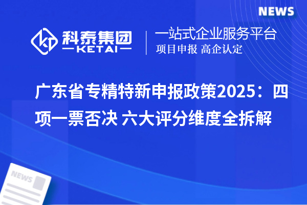 广东省政策2025：四项一票否决+六大评分维度全拆解