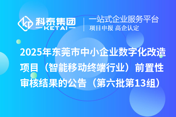 2025年东莞市中小企业数字化改造项目（智能移动终端行业）前置性审核结果的公告（第六批第13组）