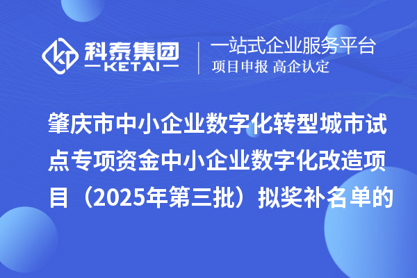 肇庆市中小企业数字化转型城市试点专项资金中小企业数字化改造项目（2025年第三批）拟奖补名单的公示