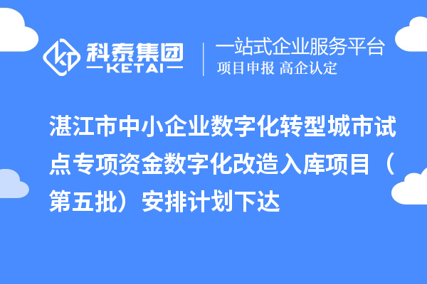 湛江市中小企业数字化转型城市试点专项资金数字化改造入库项目（第五批）安排计划下达