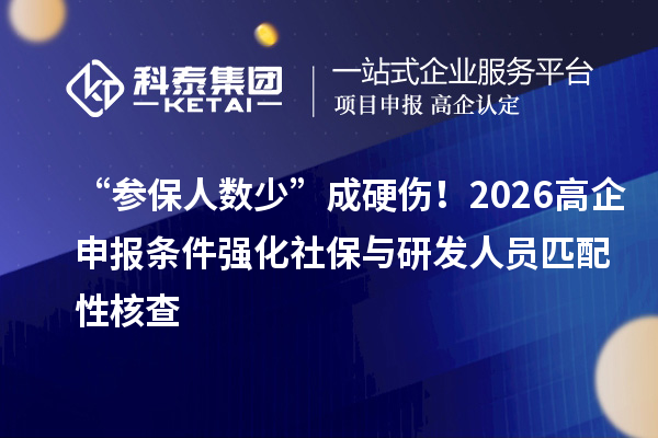 “参保人数少”成硬伤！2026高企申报条件强化社保与研发人员匹配性核查