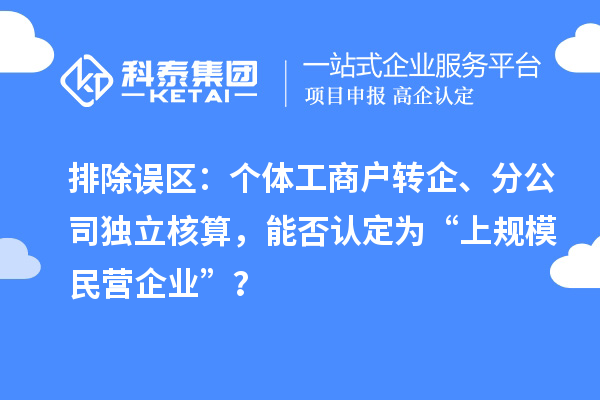 排除误区：个体工商户转企、分公司独立核算，能否认定为“上规模民营企业”？