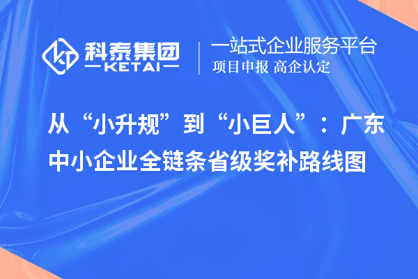 从“小升规”到“小巨人”：广东中小企业全链条省级奖补路线图