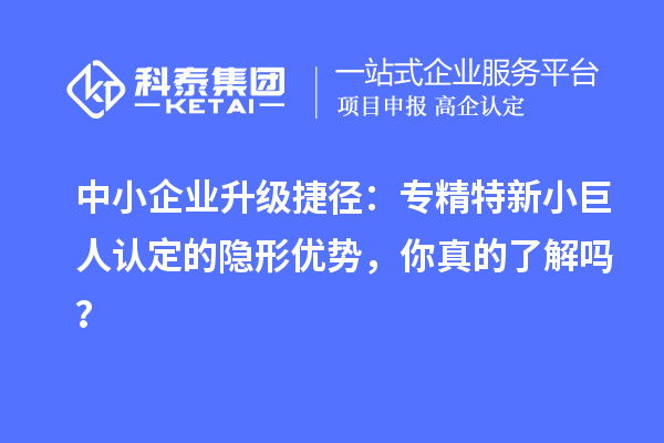 中小企业升级捷径：专精特新小巨人认定的隐形优势，你真的了解吗？