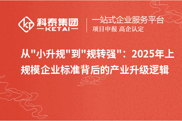 从小升规到规转强：2025年上规模企业标准背后的产业升级逻辑