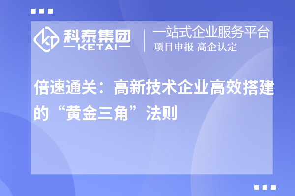 倍速通关：高新技术企业高效搭建的“黄金三角”法则