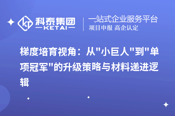 梯度培育视角：从"小巨人"到"单项冠军"的升级策略与材料递进逻辑