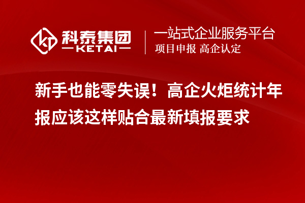 新手也能零失误！高企火炬统计年报应该这样贴合最新填报要求