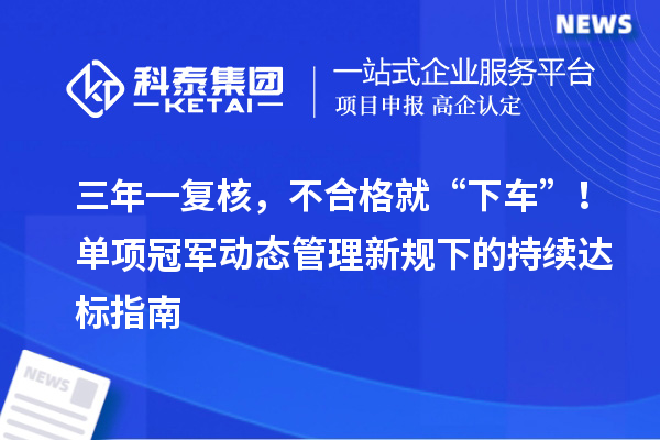 三年一复核，不合格就“下车”！单项冠军动态管理新规下的持续达标指南